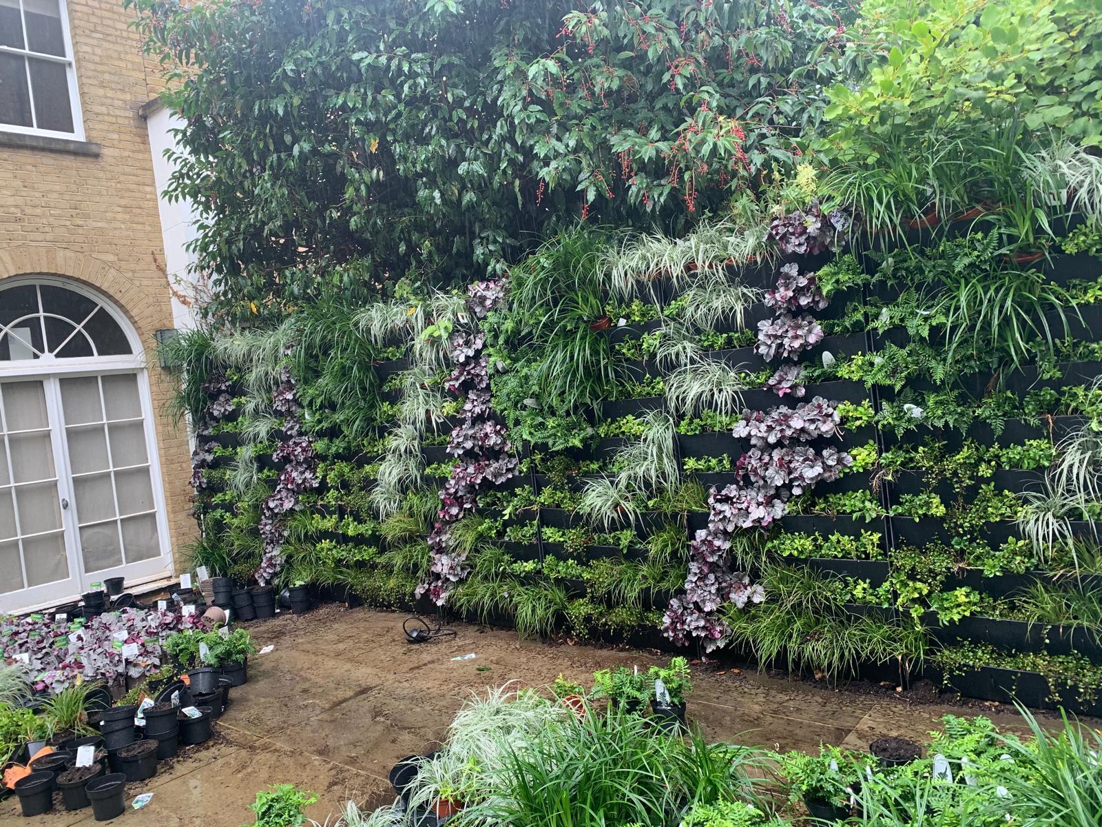 Garden renovation London